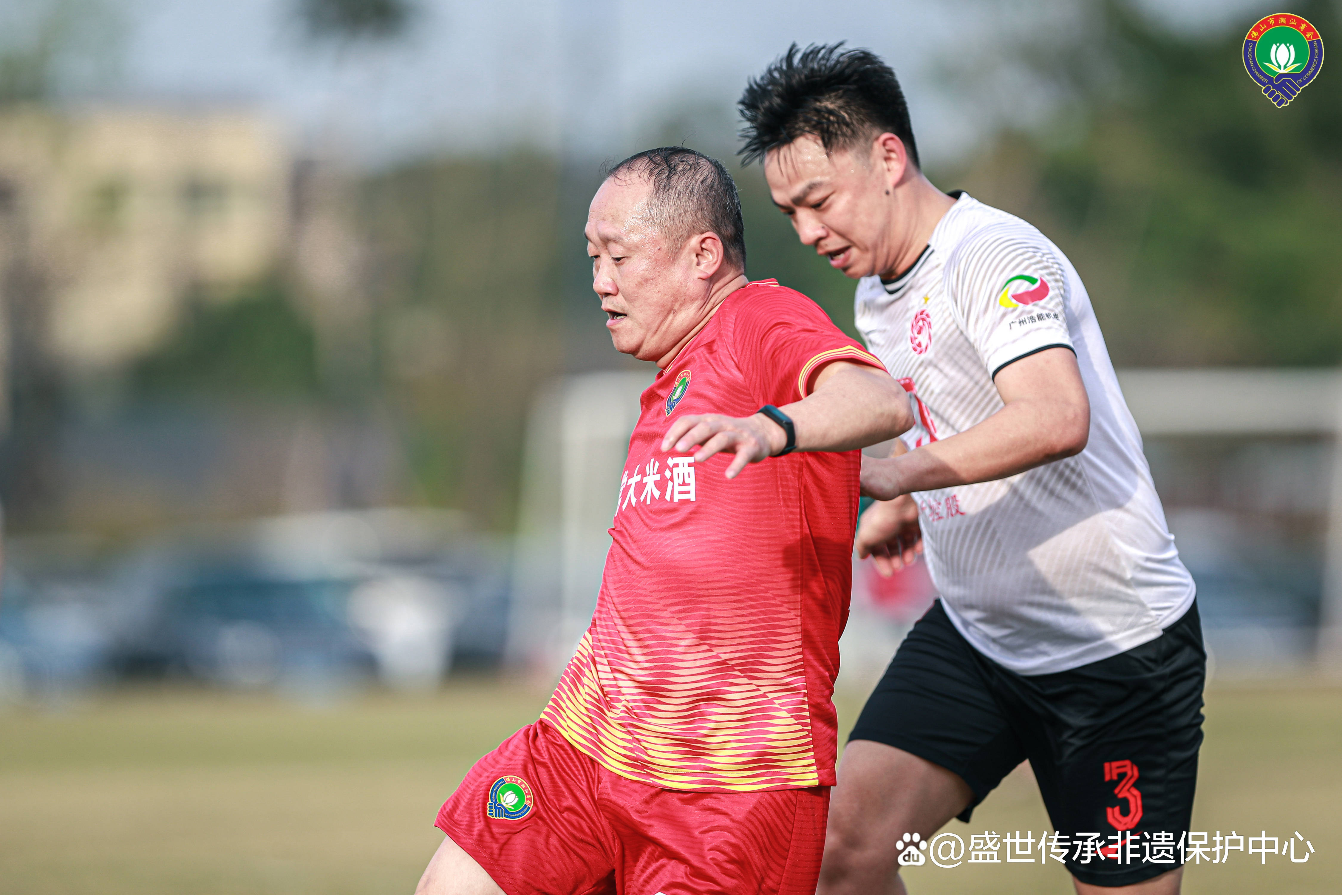 包含特色足球文化展在多地革命性推进文化交流的词条