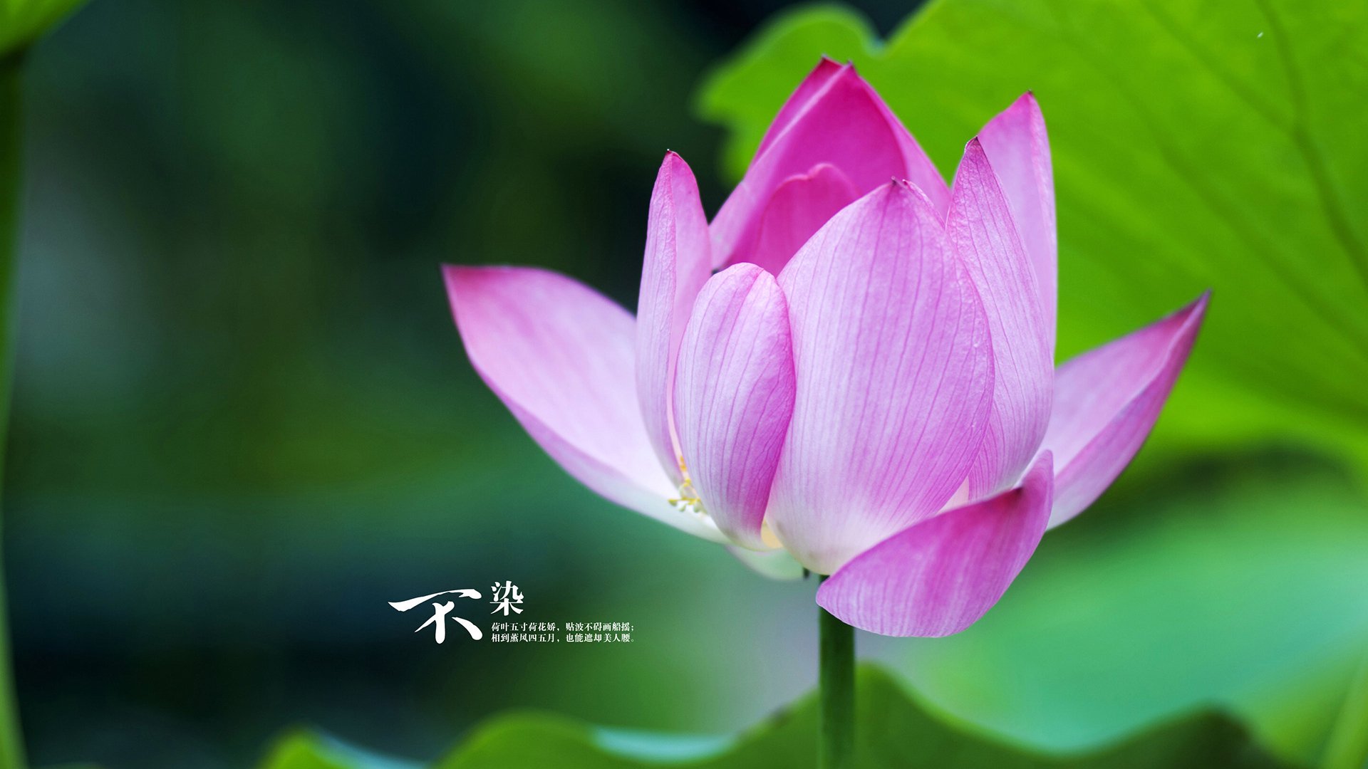 _运动员坚持到底,逆转获胜瞬间感动全场_,一个运动员坚持的励志视频