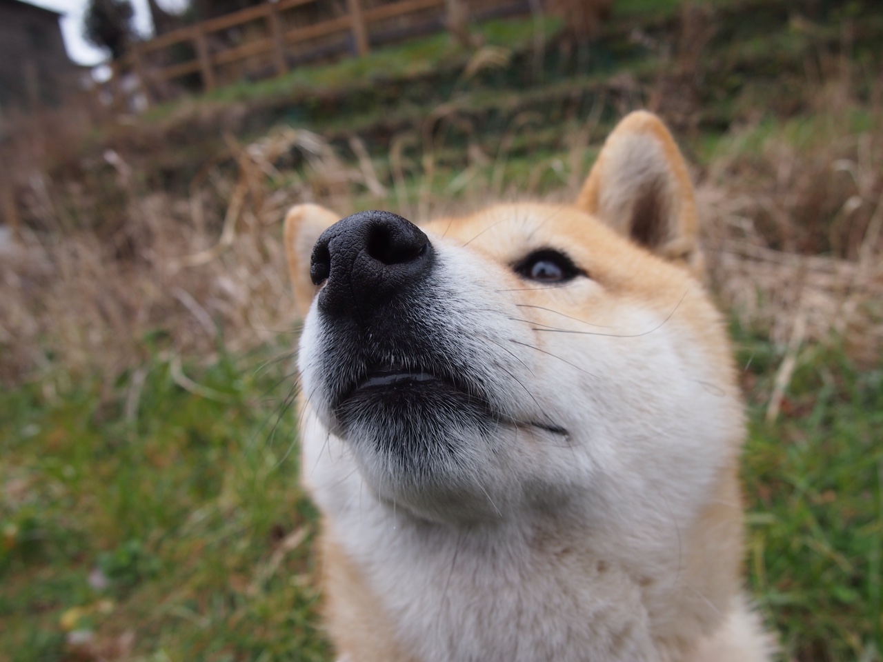 “未来速度,新能源激发新奇迹”——绿色引擎点燃激情赛场,绿色新能源大赛题目
