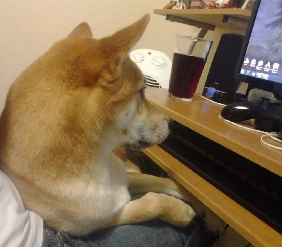 kaiyun体育综合-梅西重回诺坎普？巴萨官方回应转会传闻，梅西21年巴萨告别