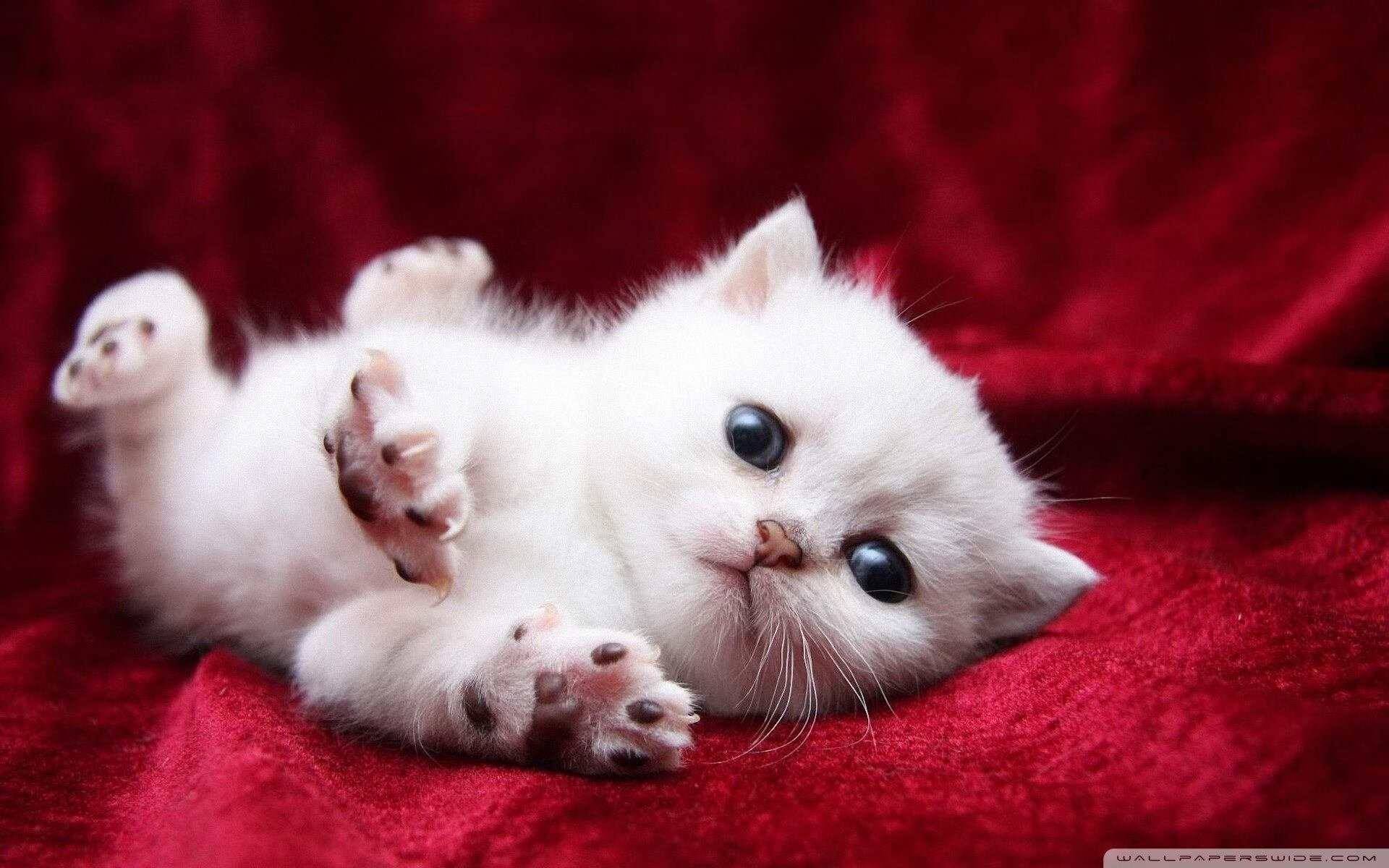 kaiyun网站-跨界合作推动足球+文化产业融合，打造新文创产业链，文化跨界合作例子