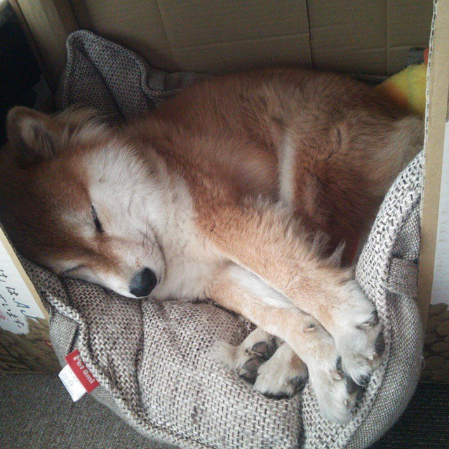 青少年篮球创新创业孵化器正式启动,打造青训创业新生态,专业青少年篮球培训提供篮球服务