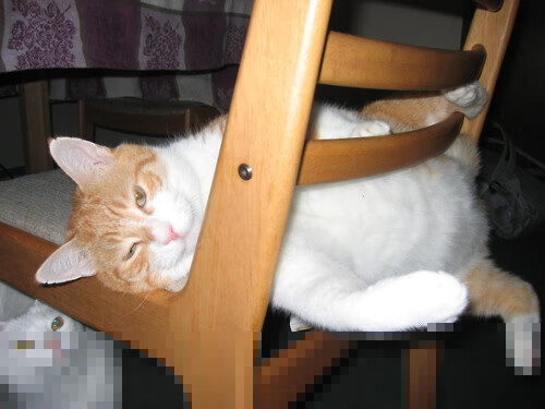 KAIYUN 中国大陆-亚历山大·萨尔在NBA常规赛中取得生涯新高，亚历山大萨默斯