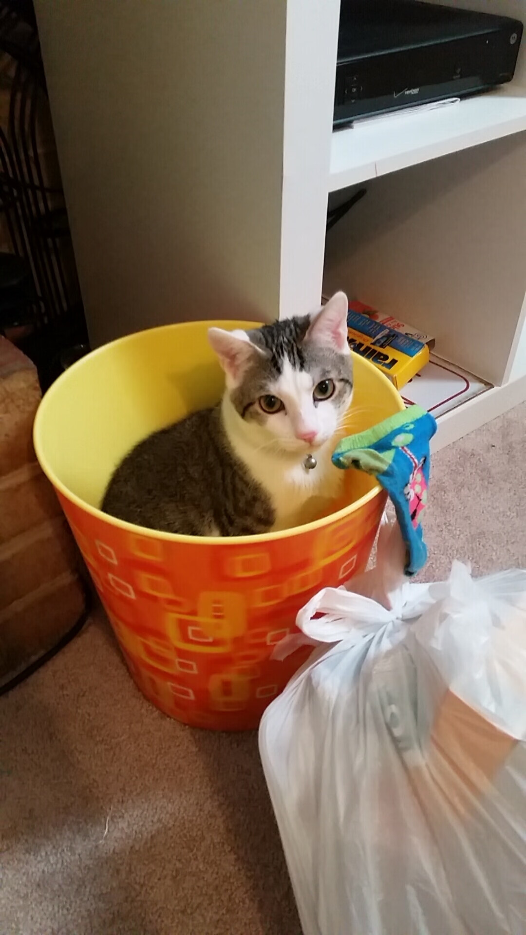 塞维利亚主场2-0战胜赫塔费,继续领跑西甲积分榜,塞维利亚算西甲强队吗