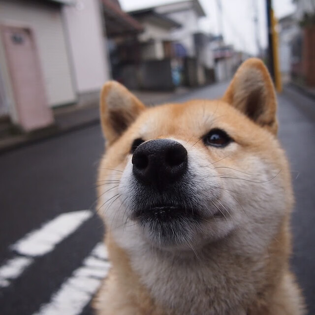 开云官方-是否应设置联盟与球员联合治理委员会，是否应设置联盟与球员联合治理委员会