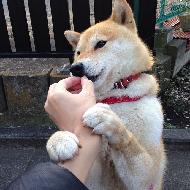 独行侠翻盘勇士,抢七大战中东契奇锁死对手,独行侠选中东契奇