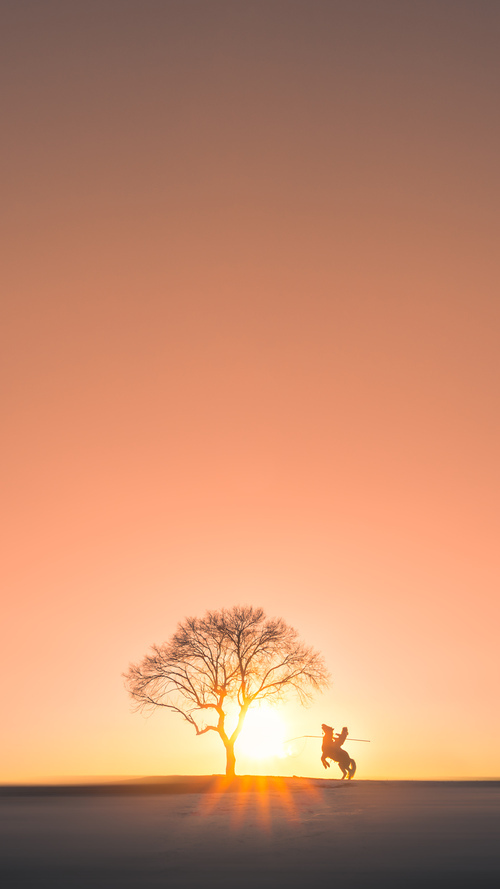 开云kaiyun-莱斯特城与利物浦激战，展现竞争力，莱斯特城利物浦战绩