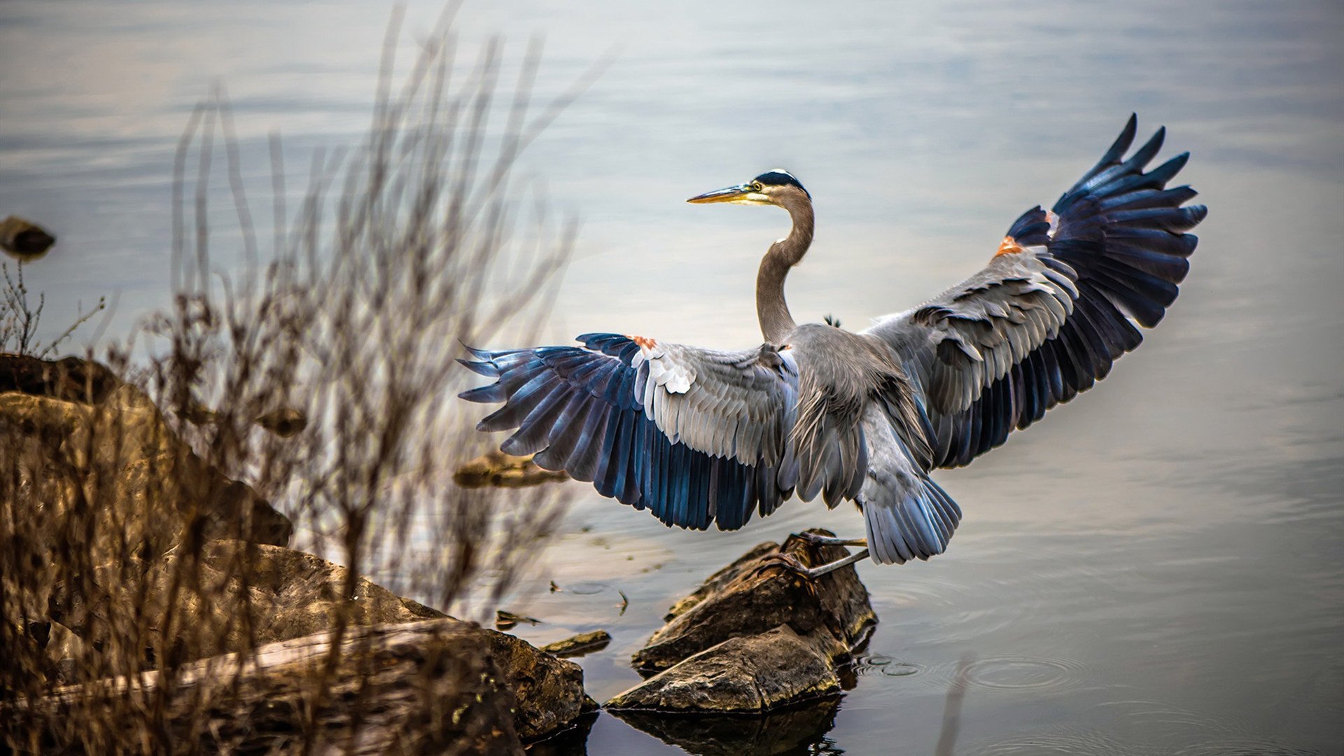 迈阿密国际球迷支持力度加大，主场气氛火爆，迈阿密国际大牌球星