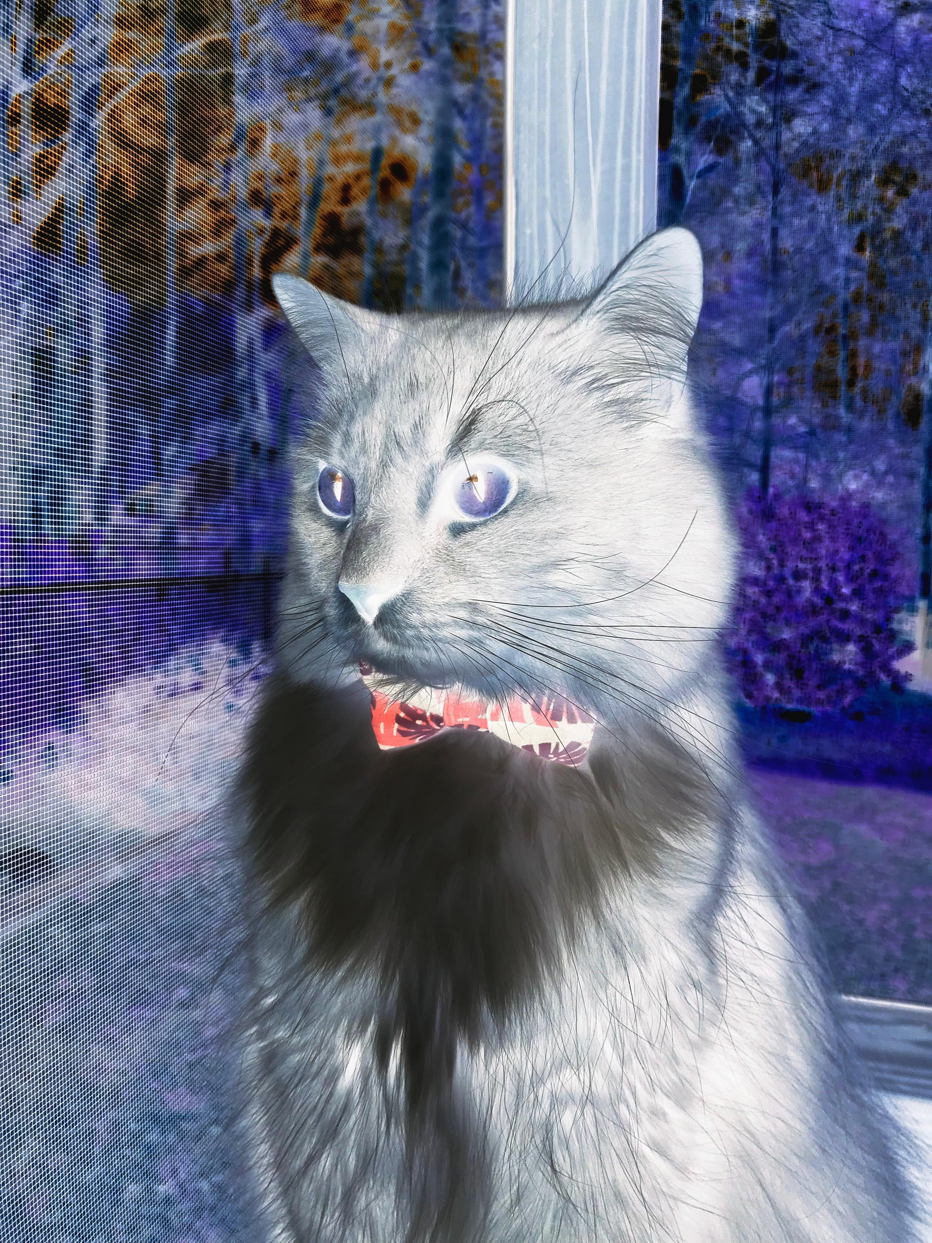 kaiyun开云·官方网站-那不勒斯客负逆转，一场胜利不能掩盖问题，那不勒斯在哪_