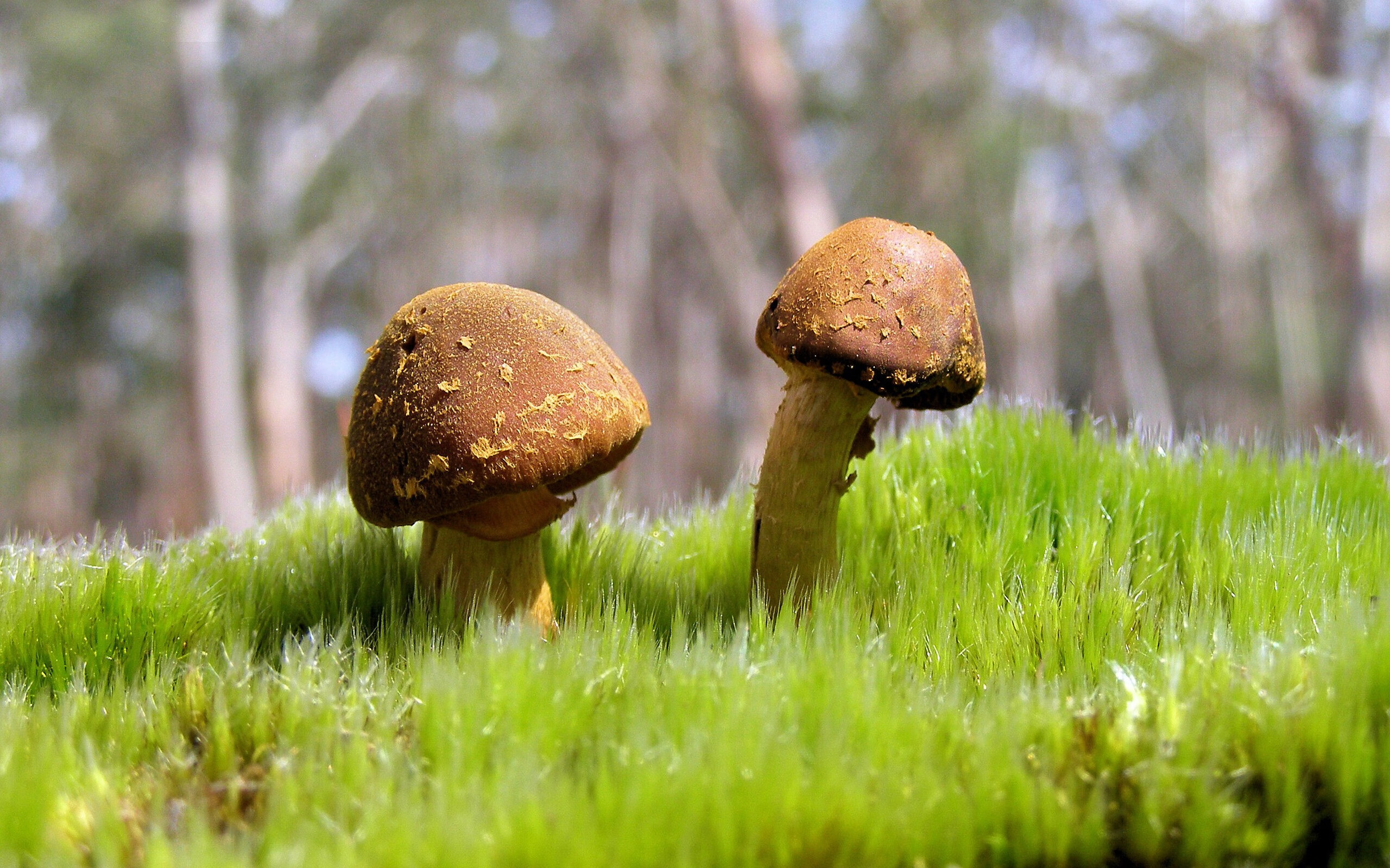 kaiyun开云·官方网站-足球职业生涯展望喜人，更多球员崭露头角，足球职业生涯规划