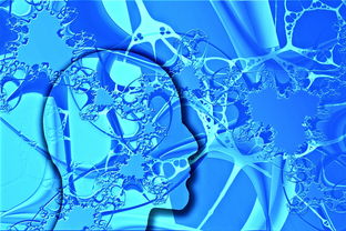 开云官网-中国足球不同战术体系试验数据，国足战术风格