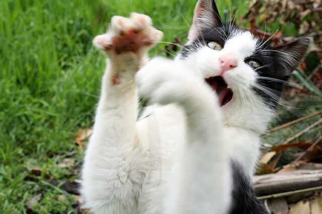 开云·体育官网APP下载-冰壶训练营青少年组首次增设体能项目，冰壶 训练