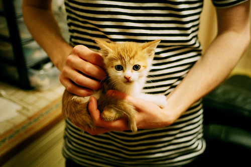 开云官方网站-运动科技智能设备引领训练革新，智能化体育运动设备