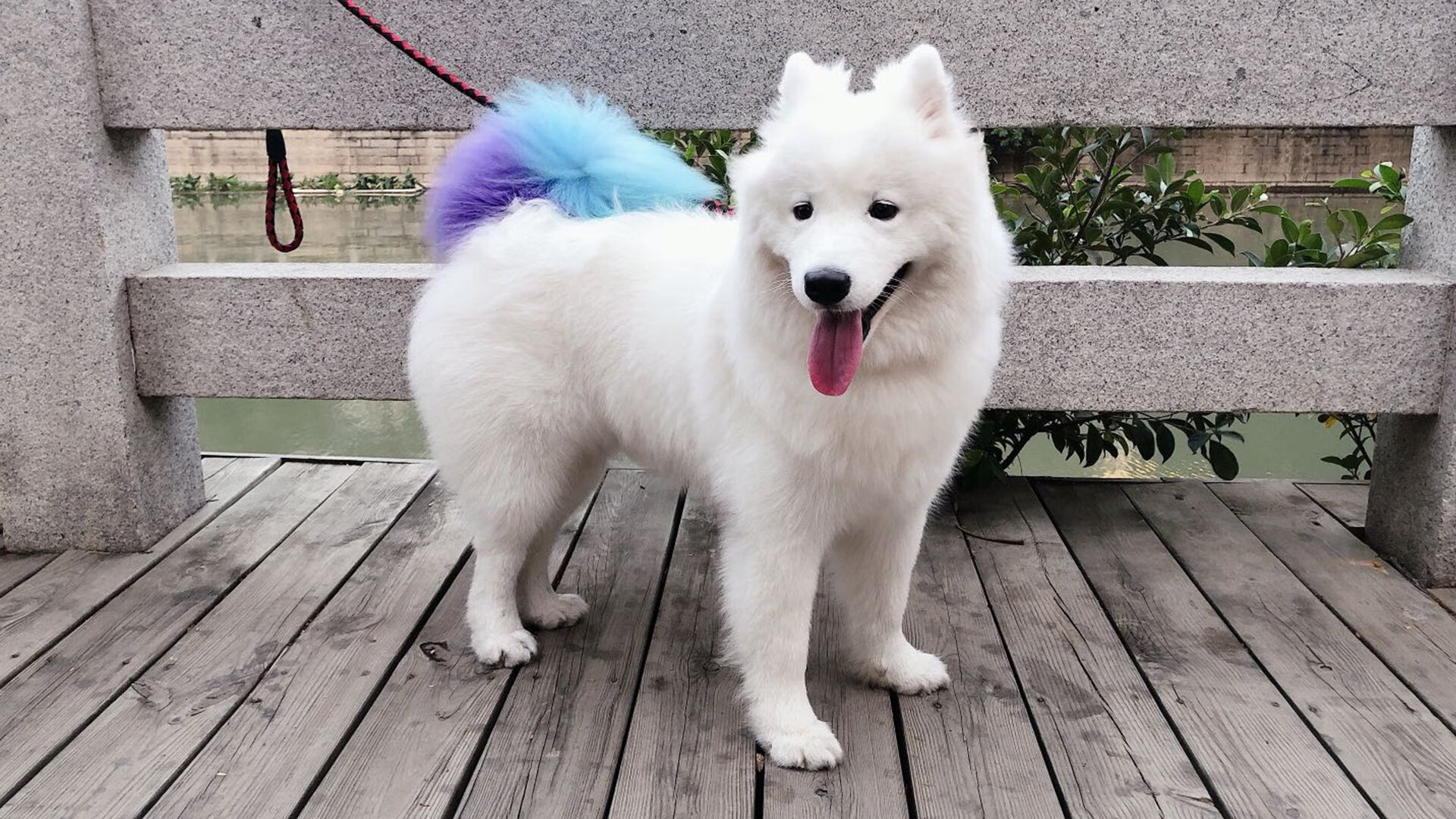 开云官网APP下载-CBA推行赛季中期技术评估优化阵容配置，cba晋级球队