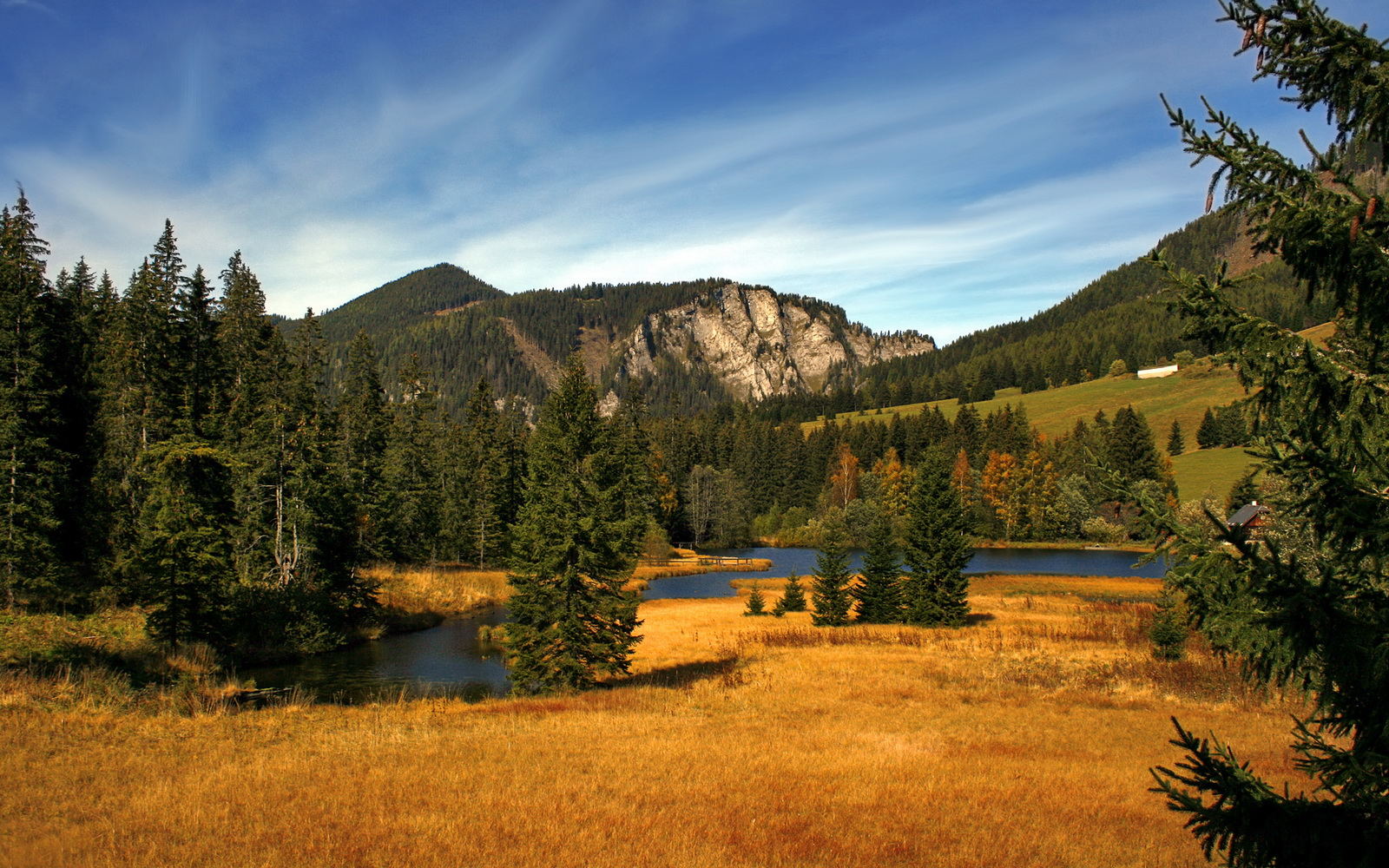 76人中锋在对抗训练中完成强硬封盖引爆全场,76人三大中锋