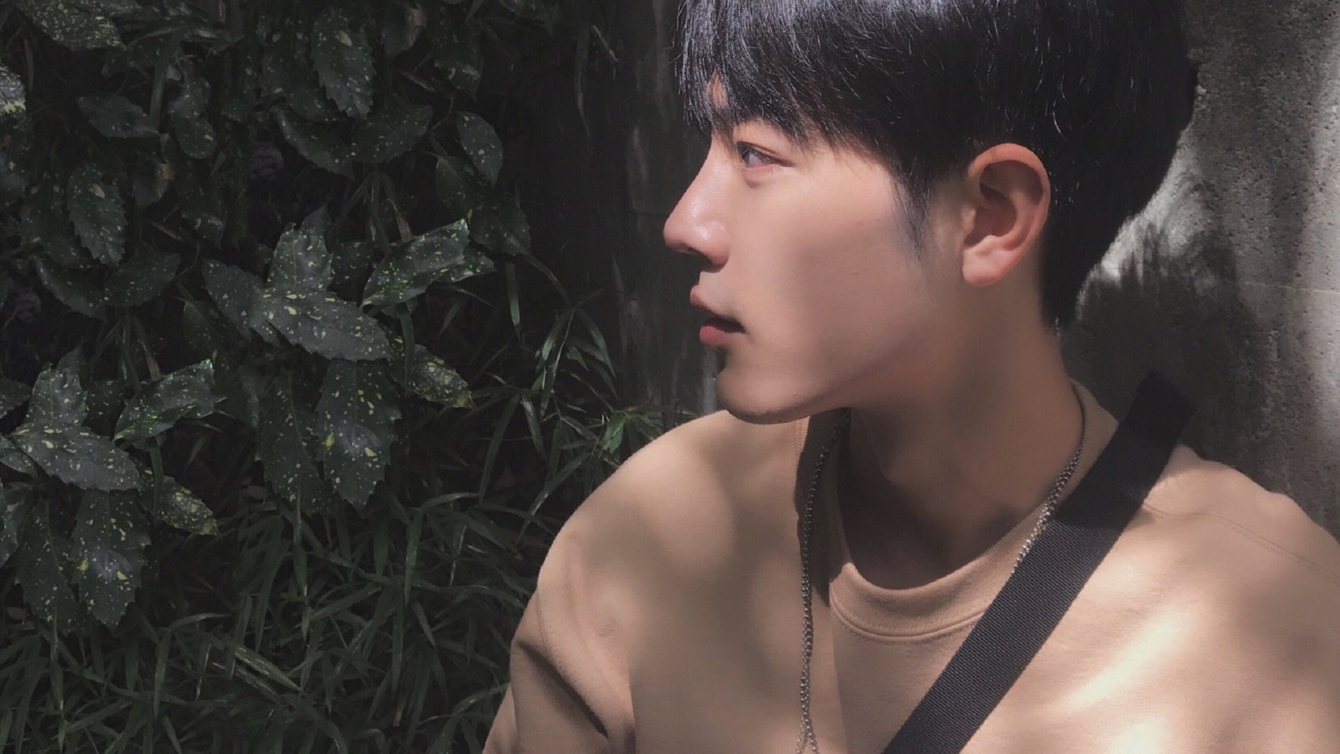 kaiyun开云·官方网站-丹·卡特：全黑队长时间主导国际橄榄球的背后推手，丹特利nba