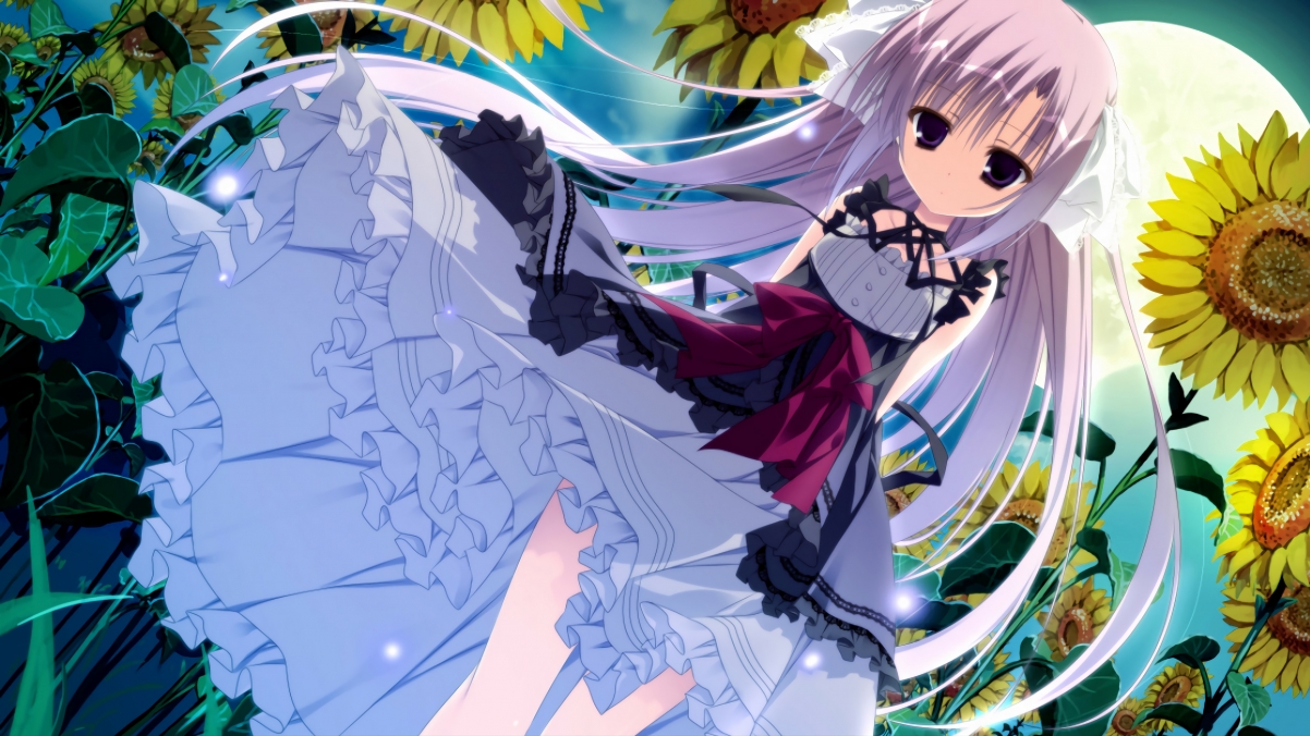 荷兰混合泳个人项目展现全面实力，秒懂百科荷兰